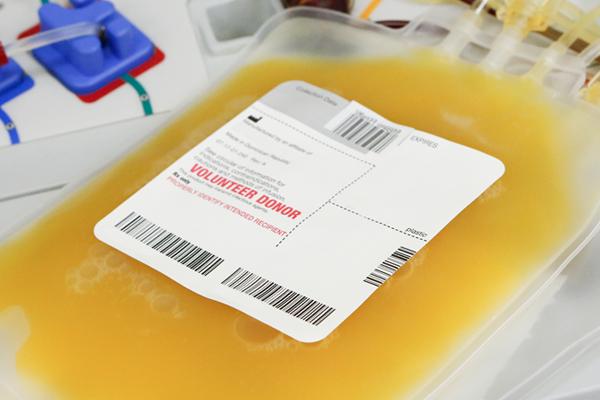 Photo of volunteer donor platelet bag.