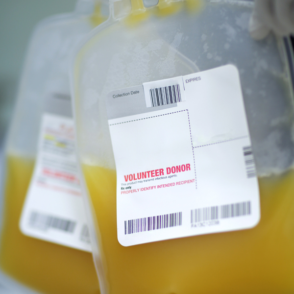 Photo of bags of volunteer donor platelets.